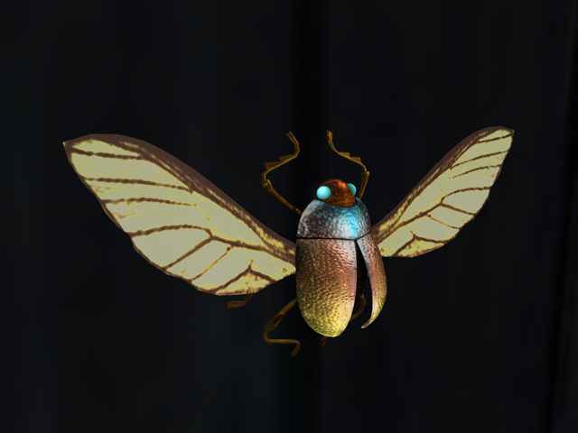 Flying Scarab Beetle, just landed